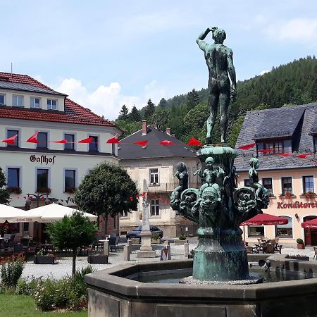 Gasthof Hillig Bad Gottleuba-Berggiesshuebel Екстер'єр фото