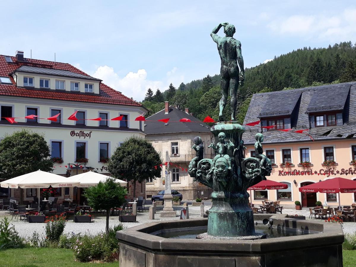 Gasthof Hillig Bad Gottleuba-Berggiesshuebel Екстер'єр фото