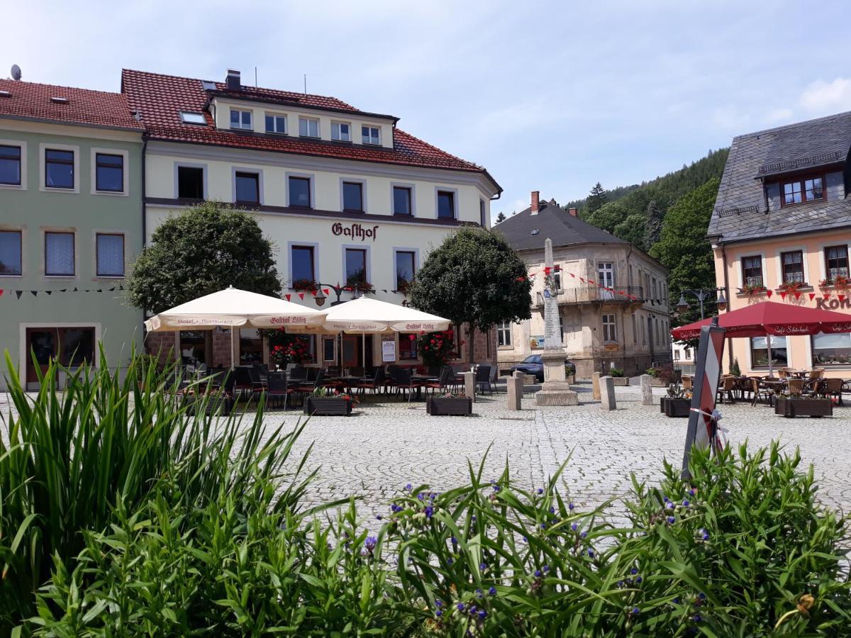 Gasthof Hillig Bad Gottleuba-Berggiesshuebel Екстер'єр фото