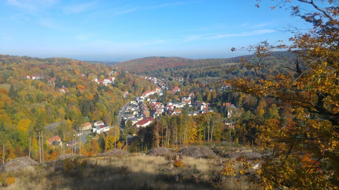 Gasthof Hillig Bad Gottleuba-Berggiesshuebel Екстер'єр фото