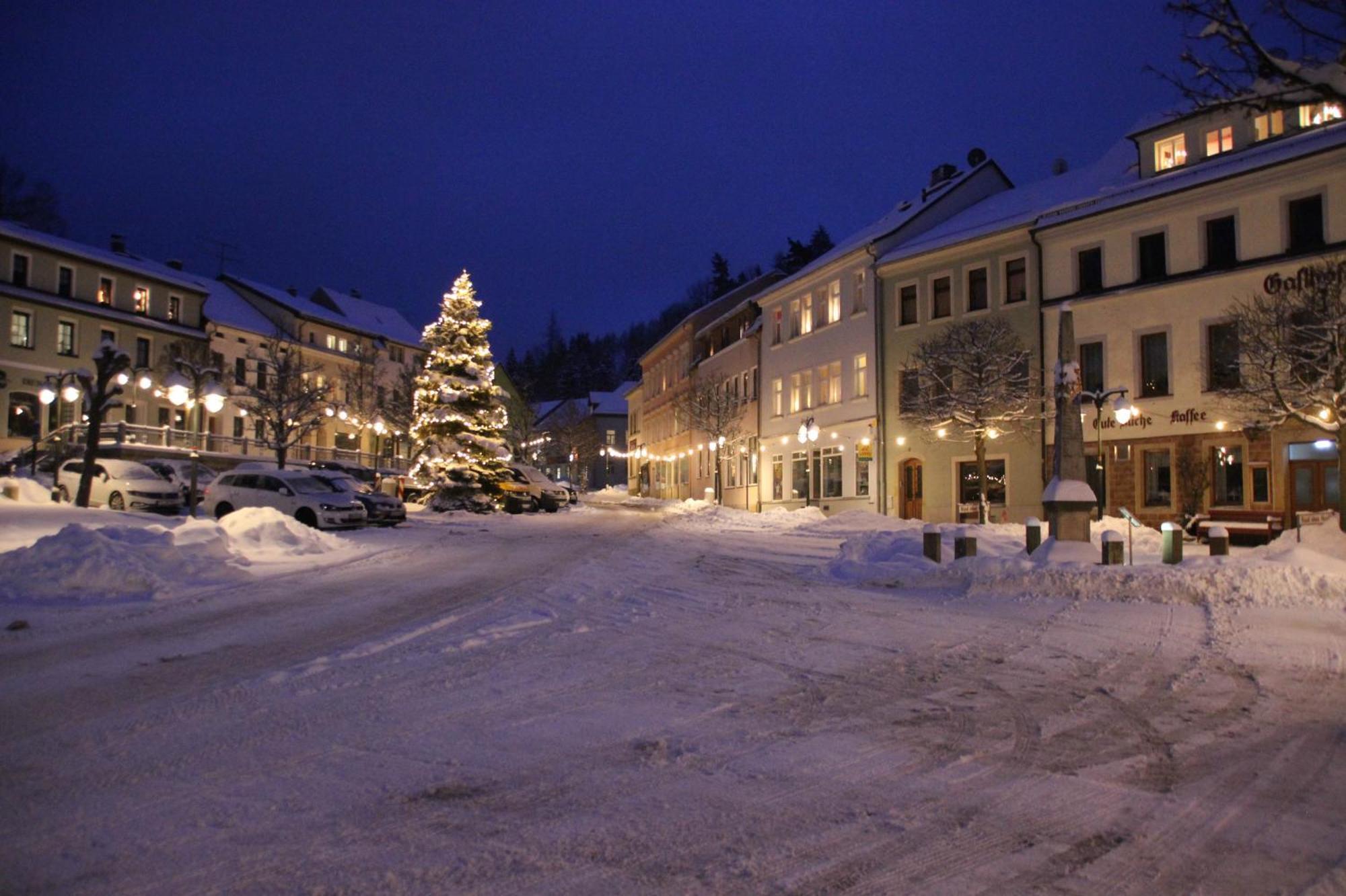 Gasthof Hillig Bad Gottleuba-Berggiesshuebel Екстер'єр фото
