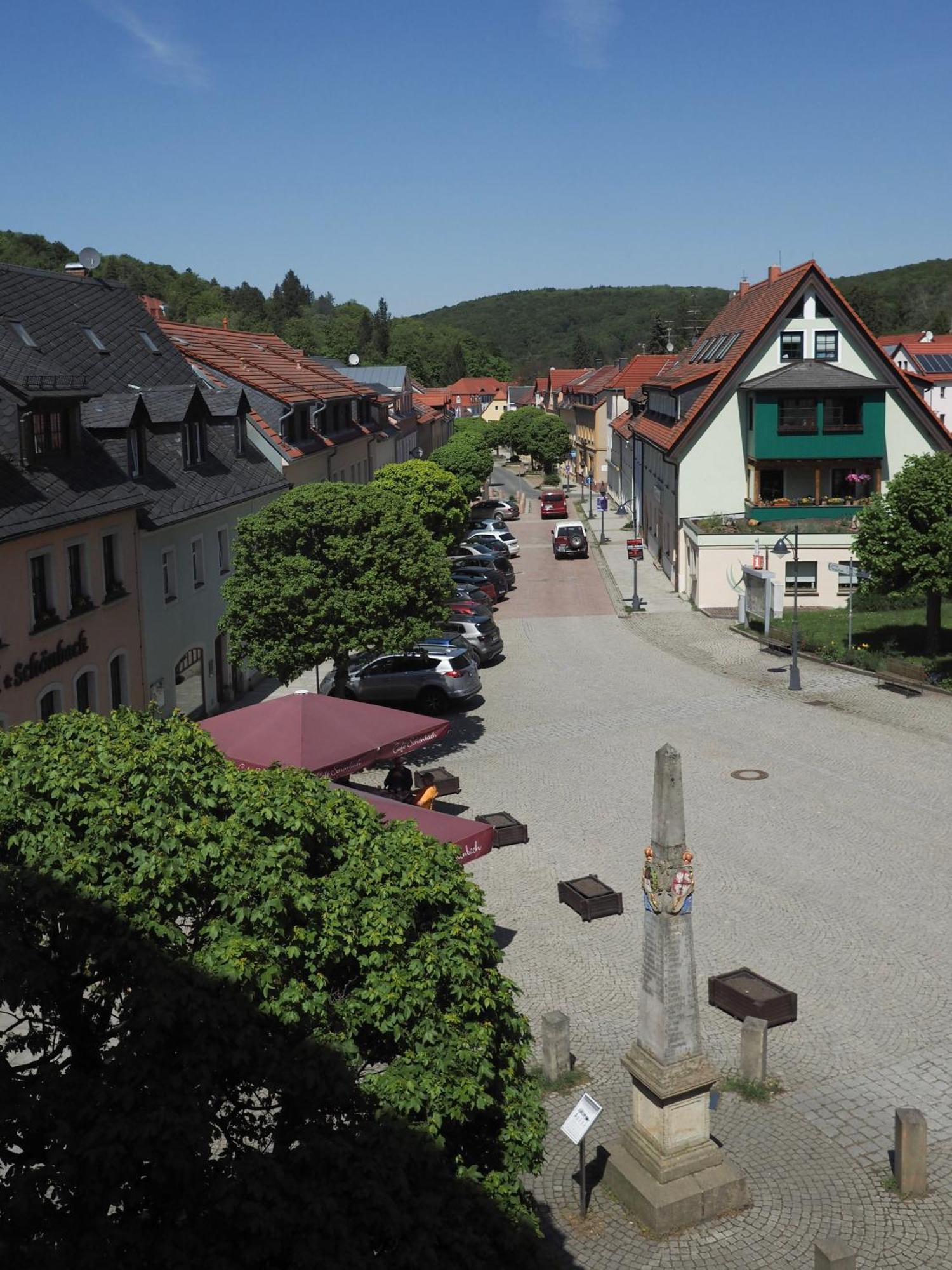Gasthof Hillig Bad Gottleuba-Berggiesshuebel Екстер'єр фото